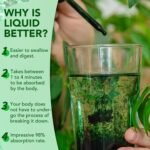 Liquid Chlorophyll Drops, 60ML Natural Chlorophyll for Internal Detox & Cleanes, Energy Booster, Digestion Supports Mint Flavour - Image 4