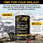 Shilajit Gummies 3000mg for Men & Women, Natural Himalayan Shilajit Supplement with Ashwagandha Gokshura for Energy, Immunity & Focus, Sugar-Free, Non GMO, 60 Gummies - Image 3
