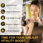 Shilajit Gummies 3000mg for Men & Women, Natural Himalayan Shilajit Supplement with Ashwagandha Gokshura for Energy, Immunity & Focus, Sugar-Free, Non GMO, 60 Gummies - Image 4