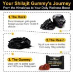 Shilajit Gummies 3000mg for Men & Women, Natural Himalayan Shilajit Supplement with Ashwagandha Gokshura for Energy, Immunity & Focus, Sugar-Free, Non GMO, 60 Gummies - Image 6