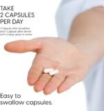N-Acetyl-Cysteine (NAC) | 60 Capsules | 30 Days Supply | 600mg Per Serving | Supports Immunity, Brain Function & Respiratory Health | Vegan, GMO-Free & UK Made - Image 5