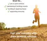BodyMe Organic Vegan Protein Powder Blend | Raw Cacao | Gluten Free | Unsweetened Plant-Based Protein | Clean Organic High Protein Supplement | No Sugar | Dairy-Free | 1kg - Image 6
