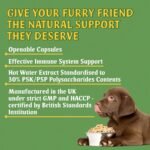 Turkey Tail Mushroom for Dogs 90 Capsules with 500mg PSK/PSP Beta-Glucans Extract - Immune Support Supplement - Gut Health & Prebiotic, UK Made, GMP Certified - Image 4