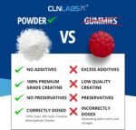 Creatine Monohydrate Powder - 300g (60 x 5g Servings) | 200 Mesh Fine Grade Powder, Pure & Mixes Easily | Includes Scoop | Unflavoured | Made in The UK by CLN Labs - Image 5
