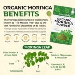 Organic Moringa Powder, Award Winning Premium Pure Leaf Powder Rich in Essential Vitamins & Minerals by Inner Vitality - Image 4