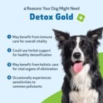 Pet Wellbeing Detox Gold for Dogs - Gentle Detoxification & Elimination Support, Immune System Care, Nettle, Blessed Thistle, Burdock root - Veterinarian-Formulated Herbal Supplement 2 oz (59 ml) - Image 4