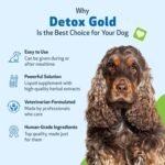 Pet Wellbeing Detox Gold for Dogs - Gentle Detoxification & Elimination Support, Immune System Care, Nettle, Blessed Thistle, Burdock root - Veterinarian-Formulated Herbal Supplement 2 oz (59 ml) - Image 6