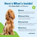 Pet Wellbeing Detox Gold for Dogs - Gentle Detoxification & Elimination Support, Immune System Care, Nettle, Blessed Thistle, Burdock root - Veterinarian-Formulated Herbal Supplement 2 oz (59 ml) - Image 7