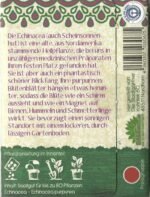 Echinacea Seed - Image 3