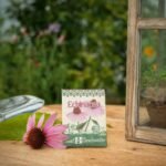 Echinacea Seed - Image 4