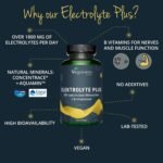 Vegavero Electrolytes Supplement | Hydration Tablet | Potassium Calcium Magnesium Supplements | with B Vitamins | NO Additives, Lab-Tested | 120 Capsules | Vegan - Image 3
