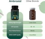 Bacopa Monnieri Brahmi Capsules - 500mg 60 Tablets | | Bacopa Extract | Non - GMO | Gluten & Allergen Free | Brain Supplement | 100% Natural Ingredients | By Ambrosial - Image 5