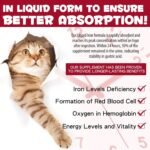 Iron Supplements for Cats, 60ML Liquid Iron with Folate and B12 Supports Anemia, Low Enery Levels and Lethargy, Promotes Red Blood Cell Formation and Blood Health - Image 3