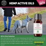 C&G PETS | PET HEMP JOINT OIL SUPPLEMENT 100ML | 100% NATURAL INGREDIENTS COLD PRESSED HEMP SEED OIL & TURMERIC BLEND | GREAT FOR ITCHY DOG SKIN CAT ANXIETY AND STRESS | SUPPORT OUTSTANDING COAT SHINE - Image 5