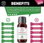 C&G PETS | PET HEMP JOINT OIL SUPPLEMENT 100ML | 100% NATURAL INGREDIENTS COLD PRESSED HEMP SEED OIL & TURMERIC BLEND | GREAT FOR ITCHY DOG SKIN CAT ANXIETY AND STRESS | SUPPORT OUTSTANDING COAT SHINE - Image 7
