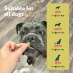 DogSuppy No Poo Eating Chews for Dogs – Helps Stop Dog Eating Poo, Supports Gut Health & Digestion, Fresher Breath, 100% Natural Ingredients, Coprophagia, Stool Eating Deterrent, Fish Flavour - Image 4