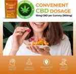 CBD Gummies - 300mg Total Cannabidiol, THC-Free Edible Gummies, High Strength Hemp Gummy Sweets for Pain Relief, Stress & Better Sleep - Fizzy Sour Peach Rings CBD Gummy Sweets by Hempthy - Image 5