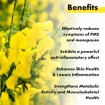 Vitaminnica Evening Primrose Oil 500mg, 60 Capsules | Pure Cold Pressed Oil | Supports Women's Health - Image 5