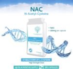 N-Acetyl Cysteine (NAC) 600 mg 120 Capsules - UK Manufactured and Suitable for Vegans & Vegetarians - Image 4