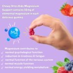 Chewy Vites Kids Magnesium, 2 Months Supply, 60 Kids Vitamins Gummies, 500mg Magnesium Citrate Providing 56mg per Gummy, Real Fruit Juice, Age 3 +, Berries Flavour - Image 4