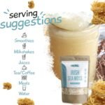 Organic Irish Sea Moss - Raw Seamoss & Sea Moss Gel Base, Wildcrafted Superfood - Rich in Protein, Fiber, 92 Essential Minerals - Vegan, Non-GMO, Organic Sea Moss, Sea Moss Organic Formula - 116g - Image 4