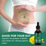 Mullein Drops Mullein Leaf Extract for Lungs Mullein Leaf Extract Drops Balance Mullein Leaf Liquid Drops Vegan Premium Mullein Leaf Extract Fast Absorption (2.02fl.oz) - Image 4