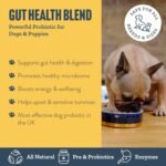 Herbal Dog Co Gut Health Probiotic Blend for Dogs, 250ml - Supports Digestive Health & Wellbeing - Food Supplement for Dogs & Puppies - All-Natural, Vegan, Made in UK - Image 3