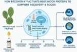 Recover-X™ Prickly Pear Fruit Oil 500mg – Fast-Acting Post-Workout Recovery & Focus Supplement, Fatigue Relief, Energy Support, Vegan Capsules, Natural Endurance & Cell Repair Formula - Image 4