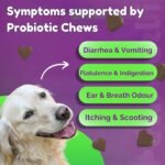 PROBIOTIC CHEWS - dog probiotics for gut health - digestive enzymes for dogs - Improve digestion, reduce diarrhea, itching and discomfort and eliminate foul odours. 120 Chews per tub - Image 4
