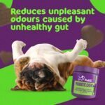 PROBIOTIC CHEWS - dog probiotics for gut health - digestive enzymes for dogs - Improve digestion, reduce diarrhea, itching and discomfort and eliminate foul odours. 120 Chews per tub - Image 5