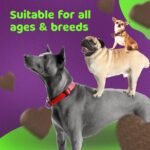 PROBIOTIC CHEWS - dog probiotics for gut health - digestive enzymes for dogs - Improve digestion, reduce diarrhea, itching and discomfort and eliminate foul odours. 120 Chews per tub - Image 6