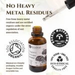 Organic Shiitake Mushroom (Lentinula Edodes) Double Extract Liquid Tincture, 30ml, EU & Soil Association Organic Certified, Manufactured in Finland - Image 4