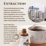 Organic Shiitake Mushroom (Lentinula Edodes) Double Extract Liquid Tincture, 30ml, EU & Soil Association Organic Certified, Manufactured in Finland - Image 6