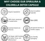 Organic Spirulina & Chlorella Detox – 60 Capsules – Supports Detoxification & Energy Boost – Promotes Immune & Digestive Health - Broken Cell Wall - Pure Formula Supplement with No Additives - Image 4