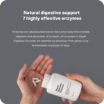 Vilgain Digestive enzymes - 7 enzymes from Plant Sources, Support The Digestion of Lactose, Protein and carbohydrates, Improves Nutrient utilisation - Image 3