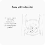 Vilgain Digestive enzymes - 7 enzymes from Plant Sources, Support The Digestion of Lactose, Protein and carbohydrates, Improves Nutrient utilisation - Image 4