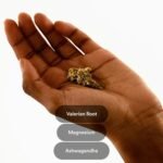 Kind Patches Valerian Root Dream Patches - Sleep Patches - Natural Sleep Aid with Ashwagandha and Magnesium - Overnight Use - 30 Count - Image 3