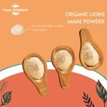Organic Lion’s Mane Mushroom Powder 250g - Boost Focus, Clarity & Vitality Naturally - Image 6