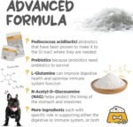 maxxipaws maxxidigest+ Probiotic, Digestive & Immune Supplement for Dogs, Powder 375g - Image 5