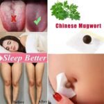 Mugwort Navel Sticker, Effective Ancient Remedy Healthy Detox Slimming Belly Pellet, Natural Herbal Chinese Medicine Belly Patch (30pcs) - Image 7
