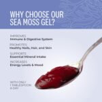 Wyld Herbs All-Natural Blueberry Infused Sea Moss Gel | 100% Wildcrafted Dr Sebi Sea Moss | Superfood Rich in Minerals, Proteins & Vitamins - Vegan & Gluten Free Sourced from the Caribbean 300ML - Image 5