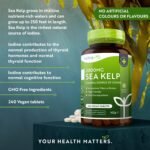 Sea Kelp 2000mg - Natural Source of Iodine - Normal Cognitive Function, Energy Yielding Metabolism, Nervous System Function, Skin and Production of Thyroid Hormones - 8 Month Supply - Nutravita - Image 3