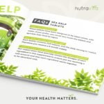 Sea Kelp 2000mg - Natural Source of Iodine - Normal Cognitive Function, Energy Yielding Metabolism, Nervous System Function, Skin and Production of Thyroid Hormones - 8 Month Supply - Nutravita - Image 5