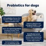 Glandex For Dogs UK - 120 Soft Chews - Vet-Formulated Anal Gland Support For Digestive Health - With Probiotics for Dogs, Omega-3s, Pumpkin & Fibre - Dog Probiotics for Gut Health - Boot The Scoot - Image 3