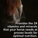 Benevit® | The Complete Multi-Vitamin & Mineral Supplement For All Horses & Ponies | 60 day-supply | 6.6kg 100% British Made | UFAS & BETA NOPS Accredited | - Image 3