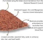 Benevit® | The Complete Multi-Vitamin & Mineral Supplement For All Horses & Ponies | 60 day-supply | 6.6kg 100% British Made | UFAS & BETA NOPS Accredited | - Image 4