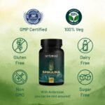 Ambrosial Spirulina Capsules 500mg - Highly Dosed Tablets, Vegan, No Additives, Protein Powder, Greens Powder, Spirulina and Chlorella Capsules, Immune System Booster (Pack of 1-120) - Image 5