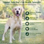 EQ K9 Probiotics for Dogs - Supports Digestion & Gut Health, Relieves Diarrhea, Gas & Itchy Skin, Boosts Immune System - With Pumpkin, Chicory Root, Omega-3 & Fenugreek - 120 Tablets - Image 3