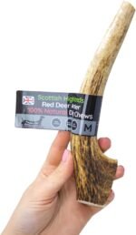 Scottish Deer Antler Dog Chews - Naturally Shed, Long Lasting, 100% Natural… (Deer Antler Chew Medium 90-130g) - Image 3