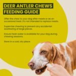 Scottish Deer Antler Dog Chews - Naturally Shed, Long Lasting, 100% Natural… (Deer Antler Chew Medium 90-130g) - Image 5